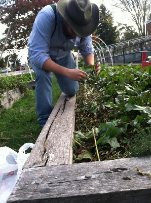 Person gardening in the model garden