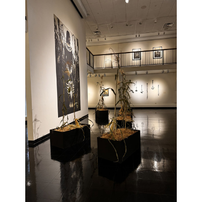 The art exhibition, Homelands: Contemporary Haudenosaunee Art Across New York at SUNY Binghamton.