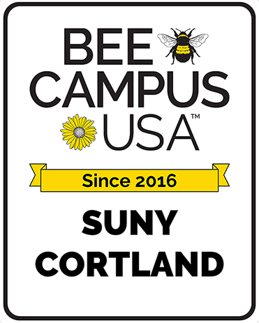 Bringing Buzz Back: Seniors Join the Fight to Save Pollinators