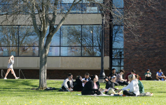 Introducing Sustainability Course Attribute