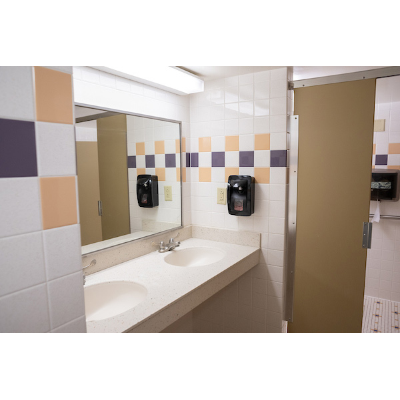 Bathroom sinks and stall