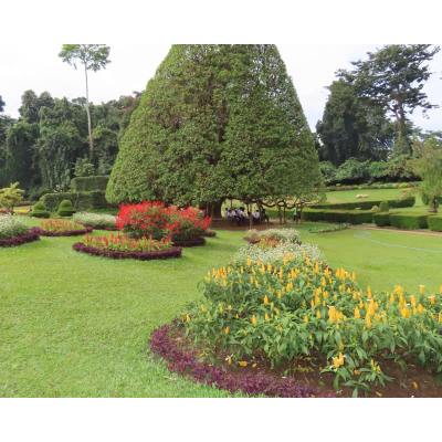 Botanical gardens in Kandy