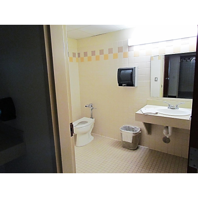 Glass Tower Bathroom 1