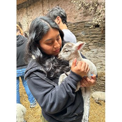 Live Like a Local, honorable mention: Ashley Nazario, “Goat Moment” — Dunquin, Ireland