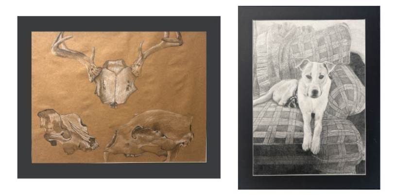 Imagination Celebration