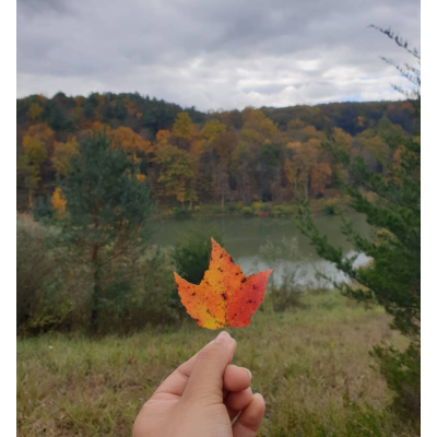 Popular choice Shreya Dhital Kayaking at Raquette Lake Raquette Lake NY