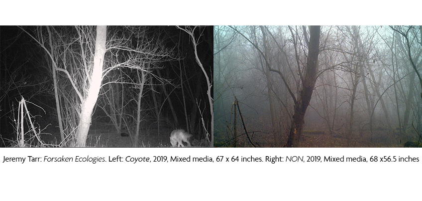 Jeremy Tarr: Forsaken Ecologies