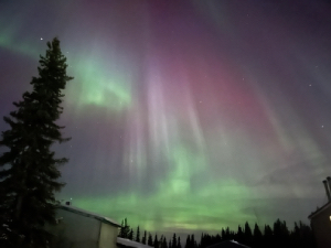History Majors Student Teach in Alaska