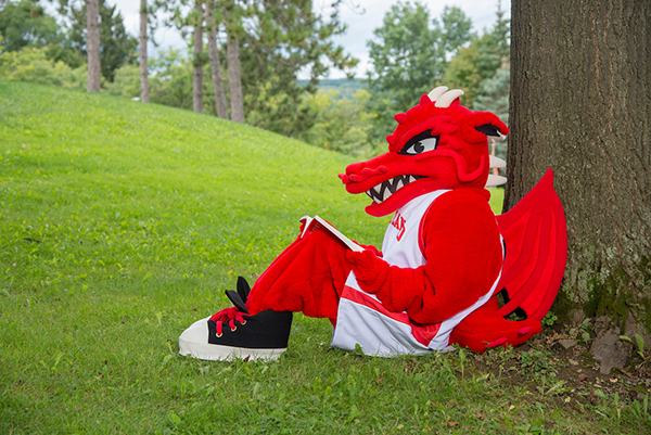 Red Dragons Read initiative brings shareable libraries to SUNY Cortland
