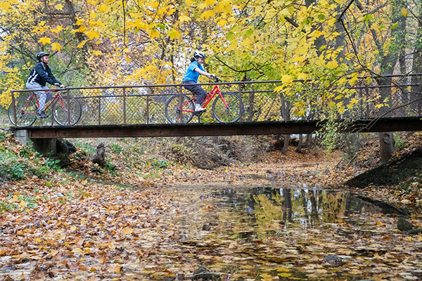 Campus named a top spot for bicyclists