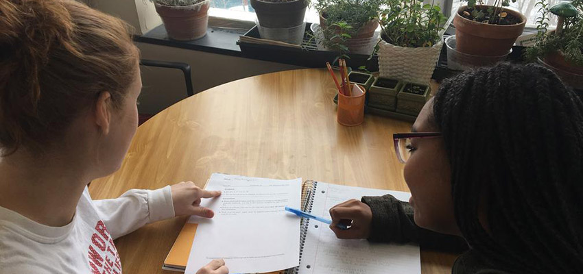 A Peer Tutor and Tutee