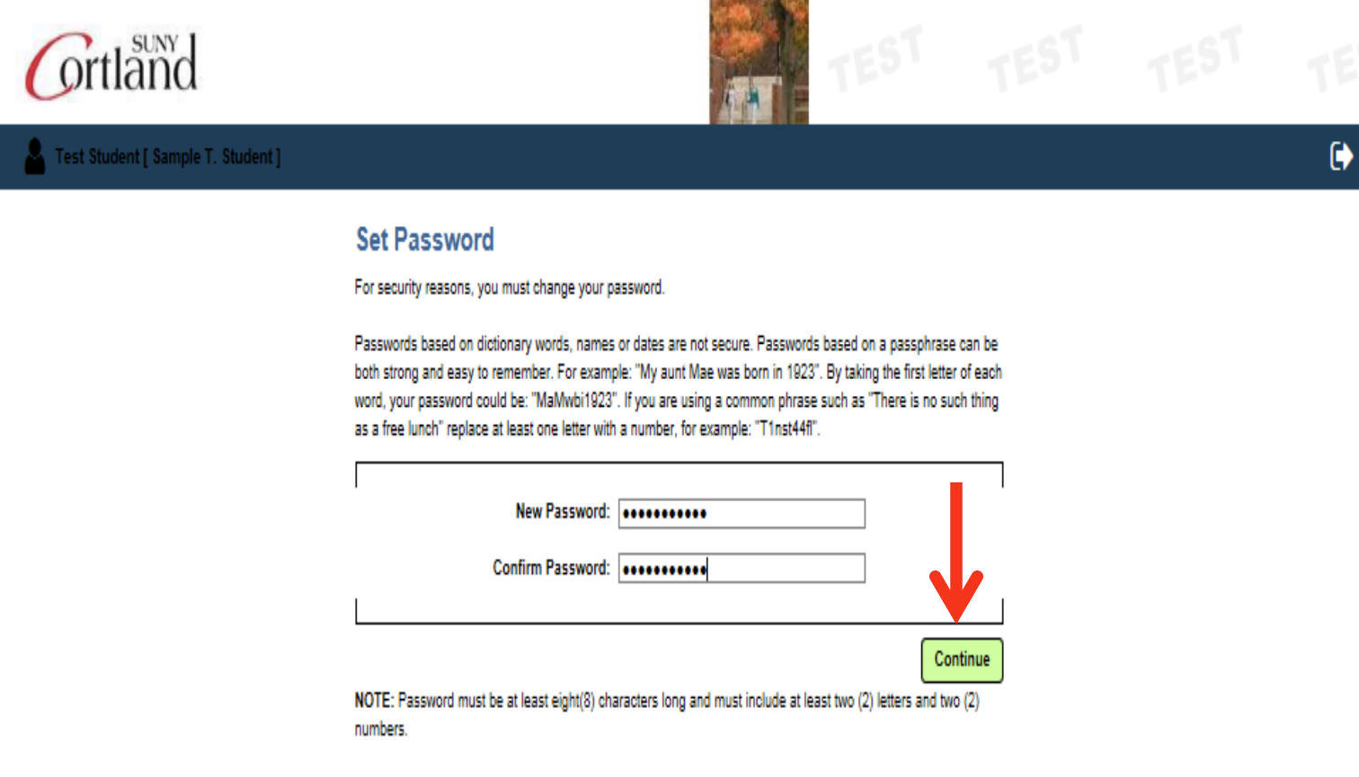 Screenshot of page for authorized payer to Set Password. There is an arrow pointing to the "Continue" button