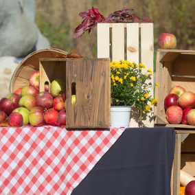 Food and Drink Diagram