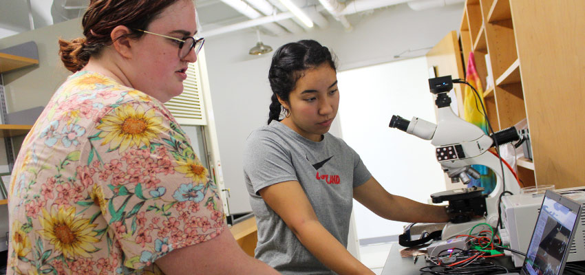 A professor and a student looking at a computer