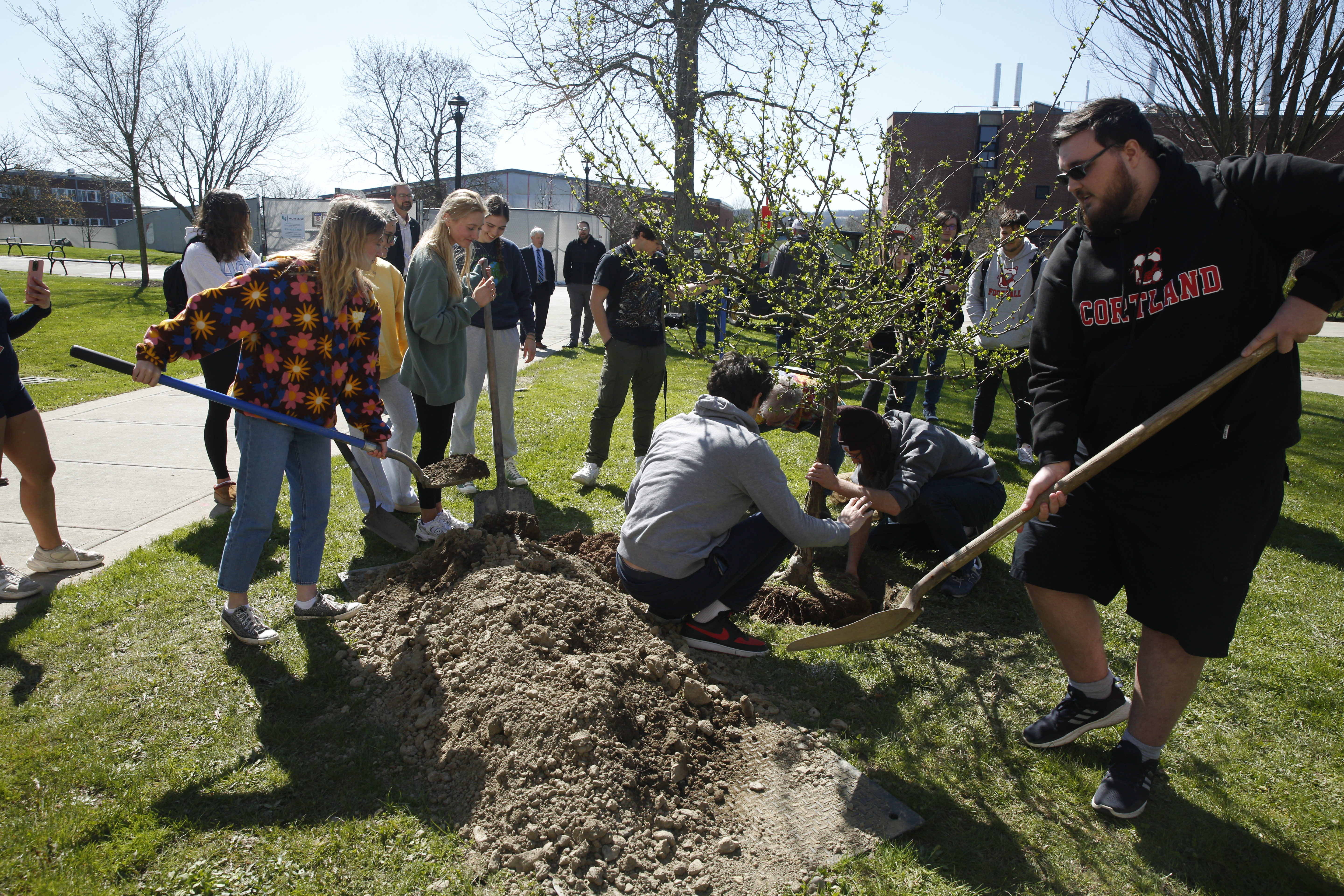 Students planting a tree