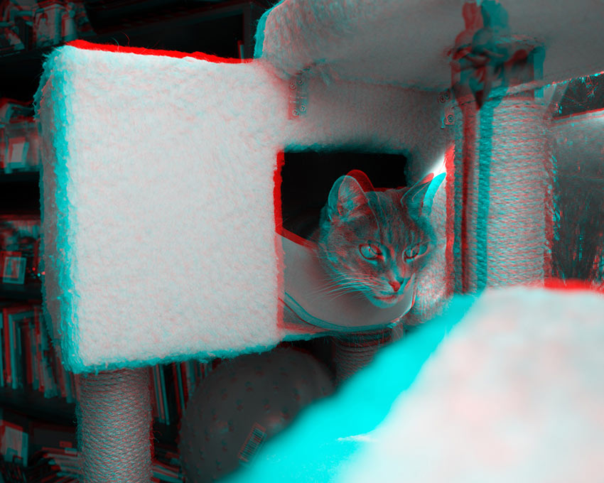 Jacob Robinson, &ldquo;Art from Isolation&rdquo;, Virtual student exhibition, June &ndash; August, 2020, Dowd Gallery, SUNY Cortland