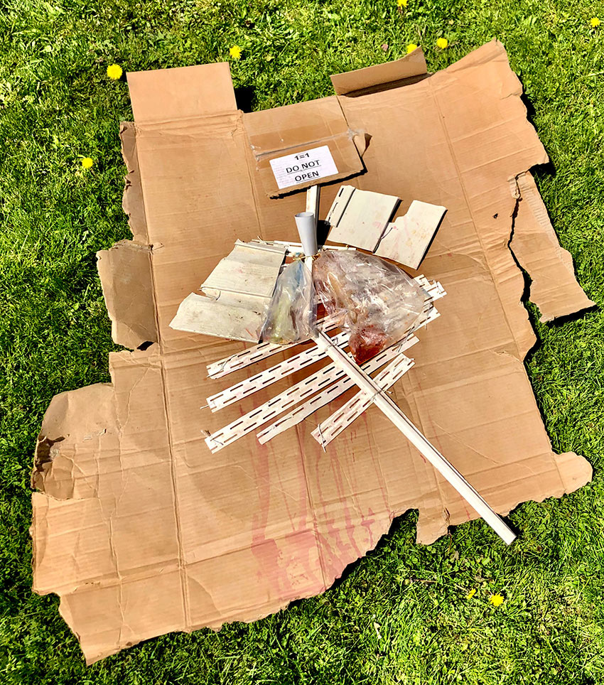 Jacob Robinson, &ldquo;Art from Isolation&rdquo;, Virtual student exhibition, June &ndash; August, 2020, Dowd Gallery, SUNY Cortland