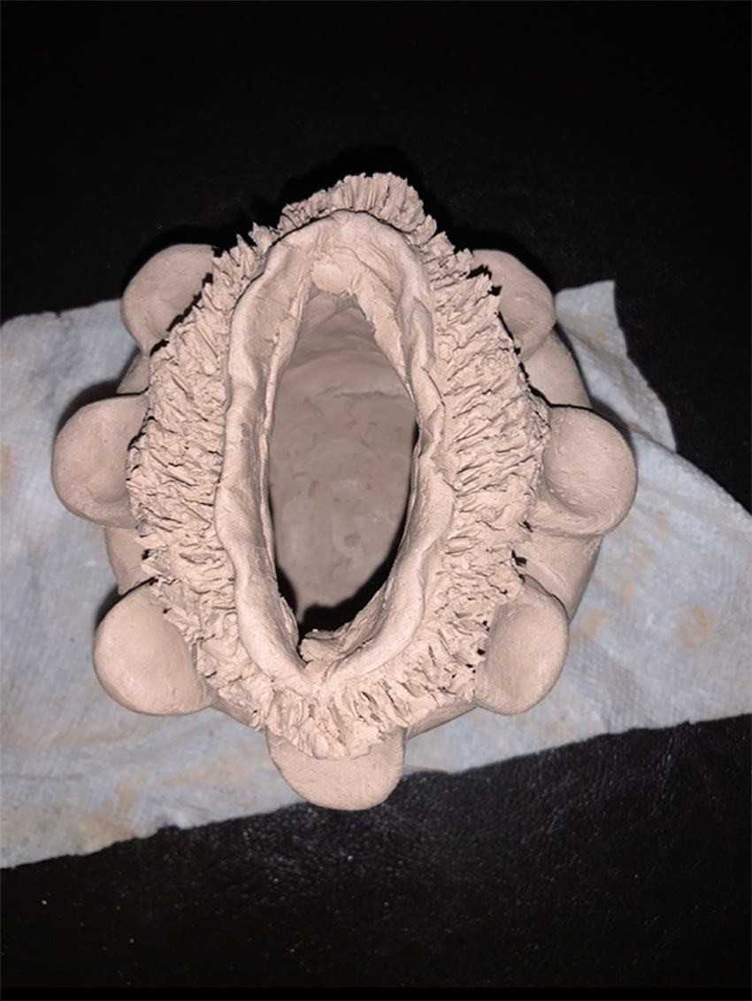 Lisa Nembhard, &ldquo;Art from Isolation&rdquo;, Virtual student exhibition, June &ndash; August, 2020, Dowd Gallery, SUNY Cortland