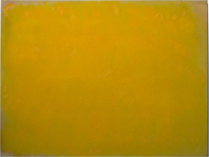 Work by Minsol Kim on display at the Dowd Gallery, SUNY Cortland, as part of the &ldquo;Artists as Collectors&rdquo; exhibition.   