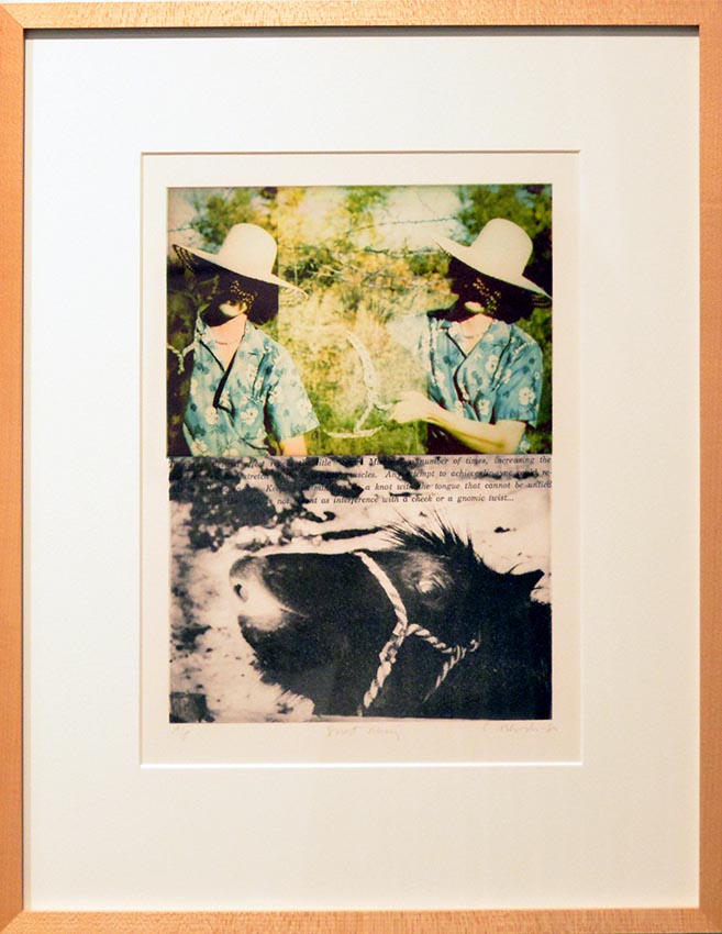 Work by Curtis Rhodes on display at the Dowd Gallery, SUNY Cortland, as part of the &ldquo;Artists as Collectors&rdquo; exhibition.