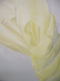 senior art exhibition Cornell Cornell yellow painting