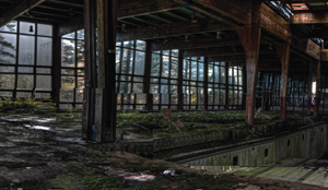 "A Transgressive Look at Beauty" Artwork by Brian Roach