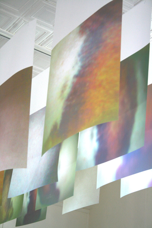 gallery exhibition Gently Bruised