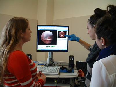 swallow lab Boskamp-Cluss lab equipment