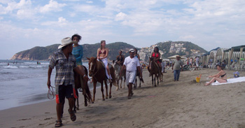 study broad - on beach