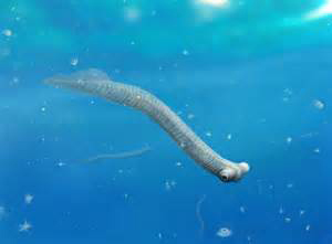 rendering of conodont image 