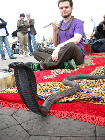 amazed onlookers view a snake charming display snake charmer